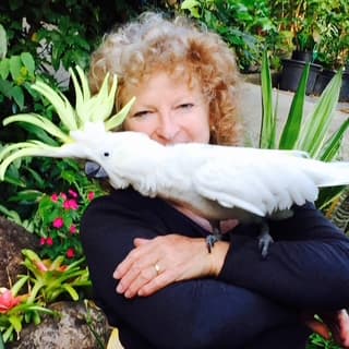 Featured image for Fritz